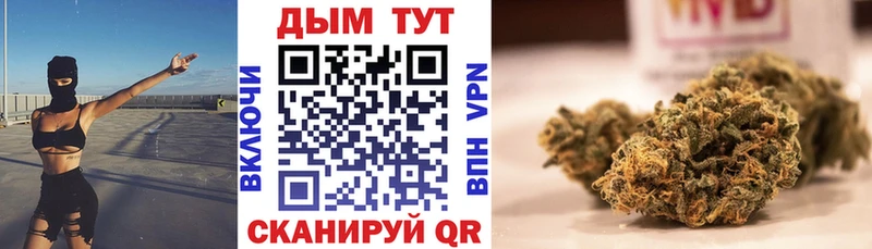 дарнет шоп  Дзержинский  Шишки марихуана семена 